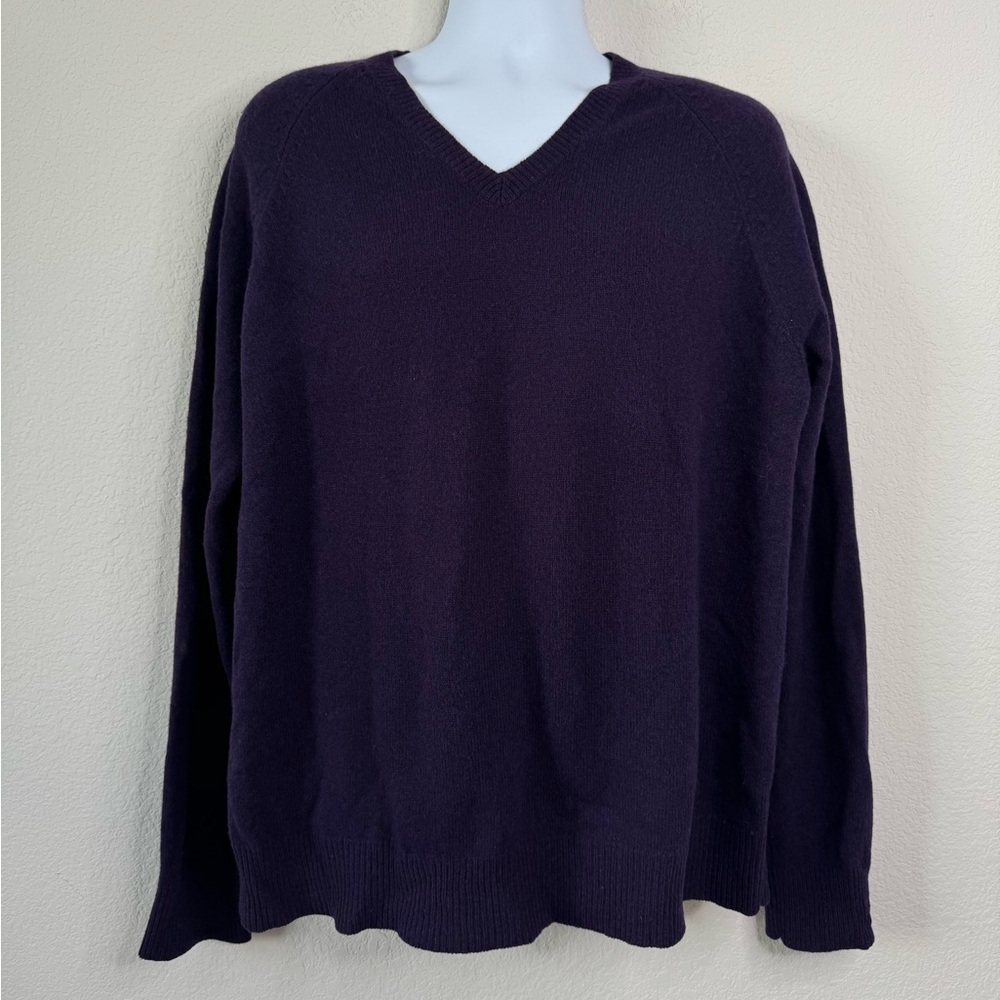J.Crew 100% Lambswool V-Neck Sweater Men’s XL Purple Minimalist Office Layer